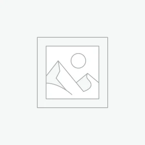 Hà Nội trắng trong mùa hoa loa kèn