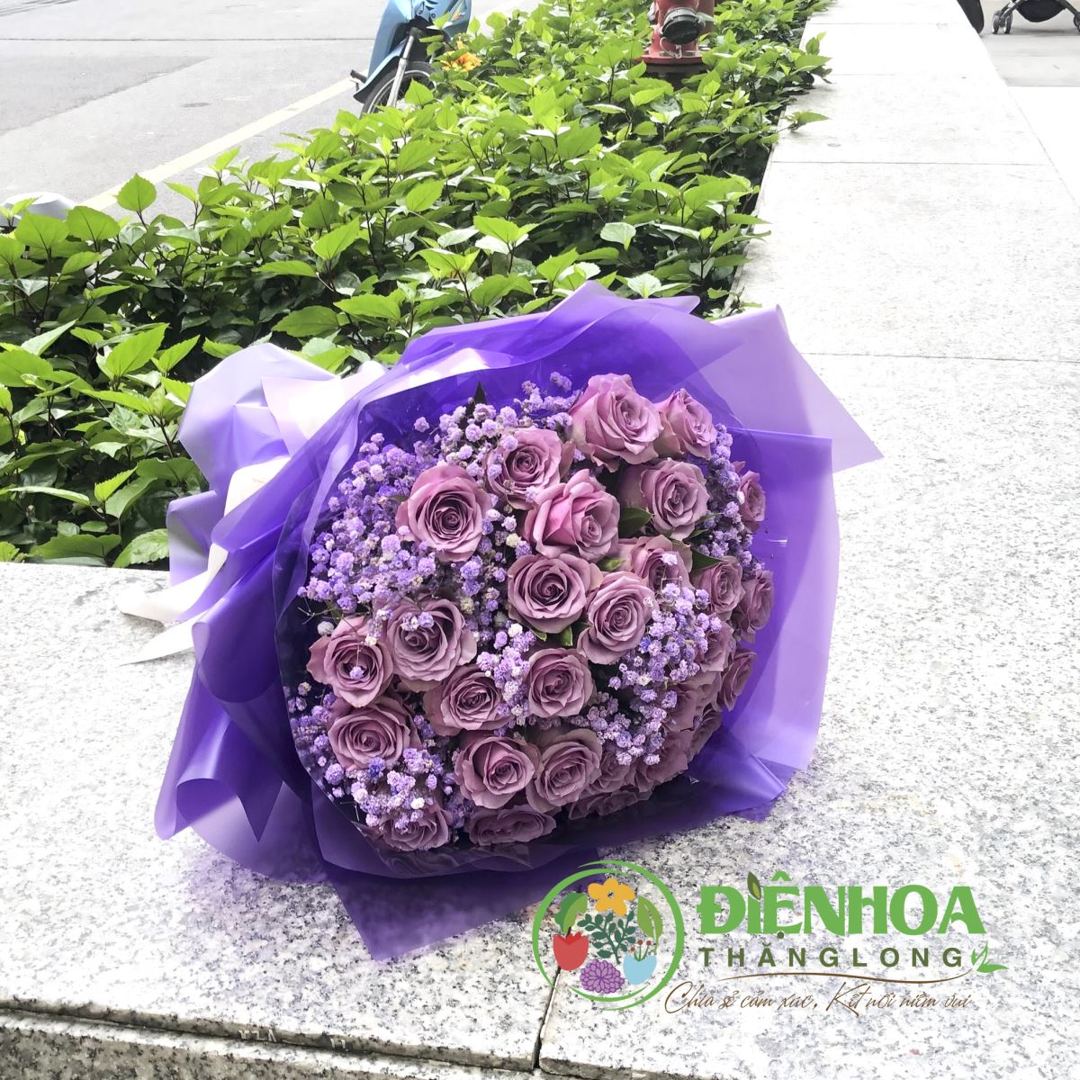 Bó hoa hồng tím tặng người yêu