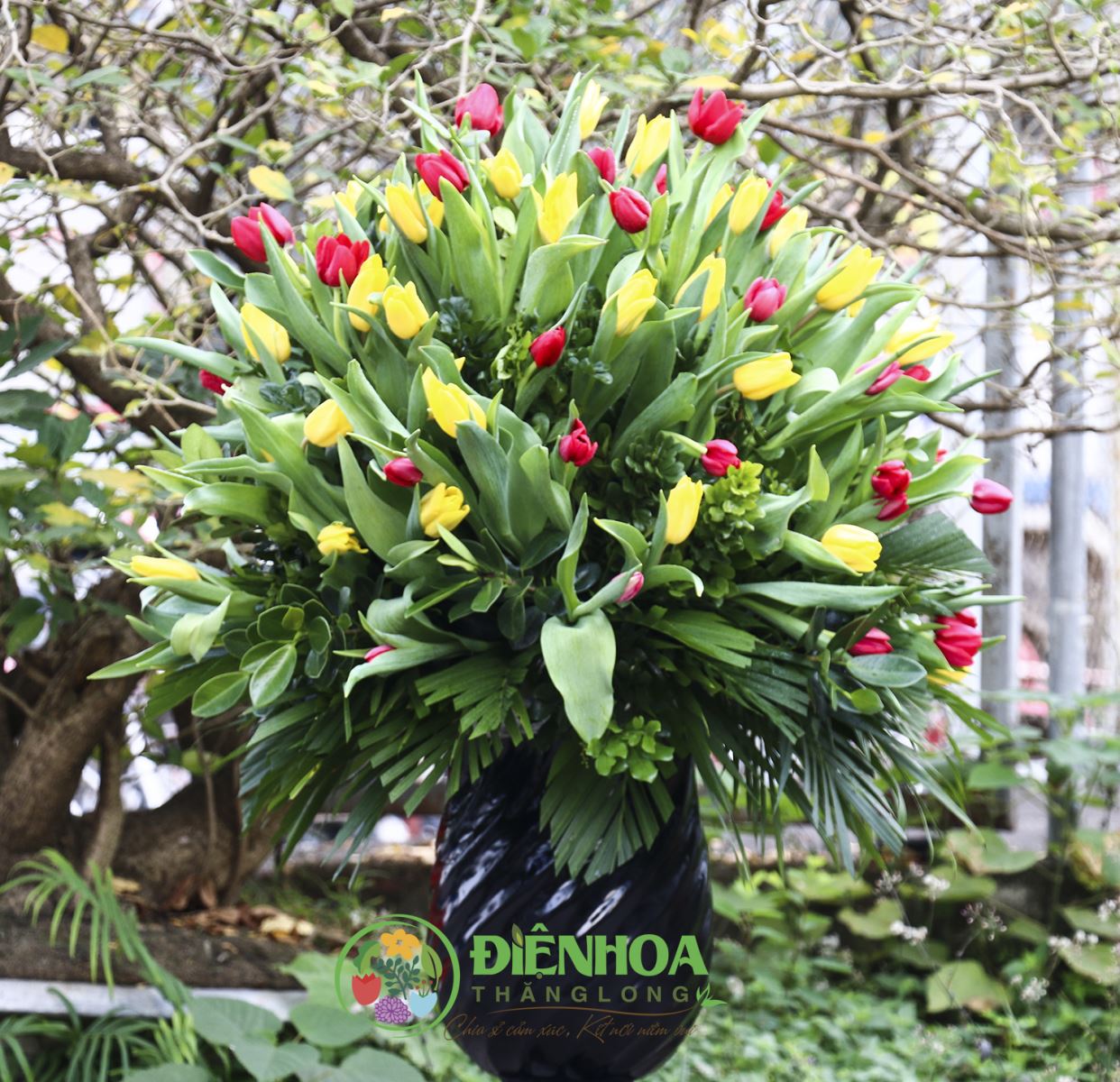 Bình hoa tulip đẹp