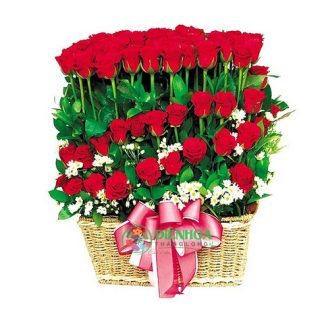 99 bông hồng đỏ con đường tình yêu