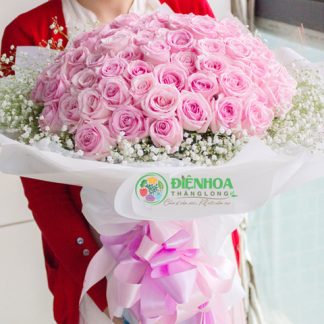 99 bông hồng phấn tình yêu ngọt ngào