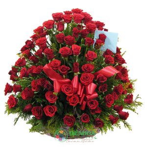 99 bông hồng tình yêu chớm nở