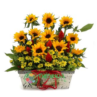 Lẵng hoa hướng dương đẹp nhất