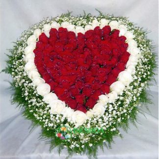 Hoa trái tim màu trắng đỏ