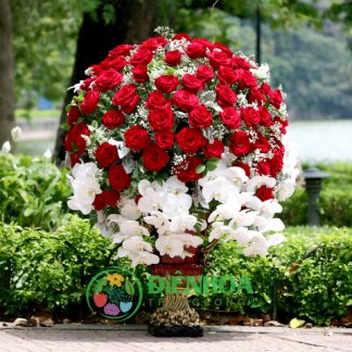 Bình hoa hồng đỏ VIP