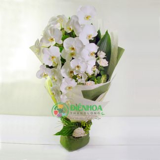 Bó hoa lan hồ điệp trắng đẹp