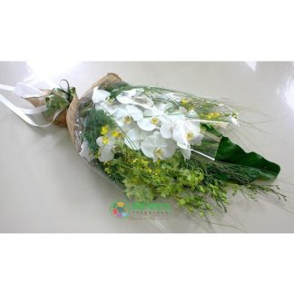 Bó hoa lan hồ điệp