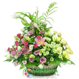 Giỏ hoa tươi hy vọng