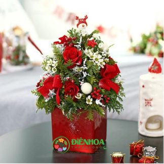 Hoa giáng sinh ấm áp