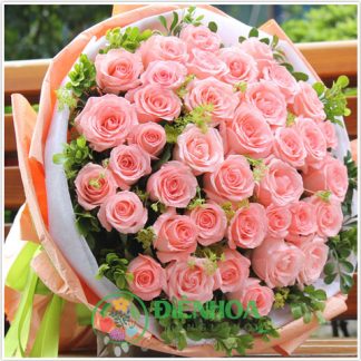 Hoa hồng phấn bó tròn