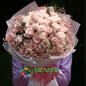 Hoa hồng phấn và babi hồng dễ thương