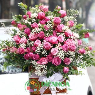 Lẵng hoa hồng tím đẹp