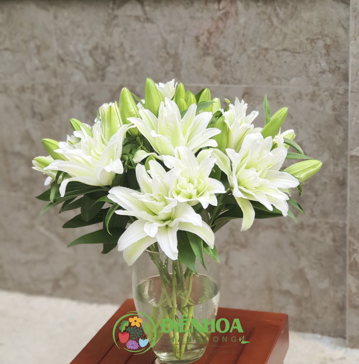 Hoa ly kép trắng Hà Nội