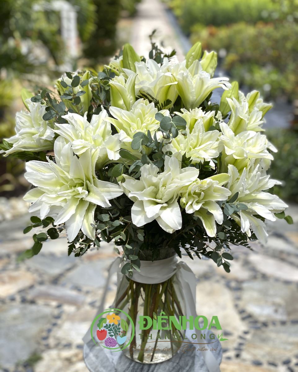Mua hoa ly kép trắng ở Hà Nội