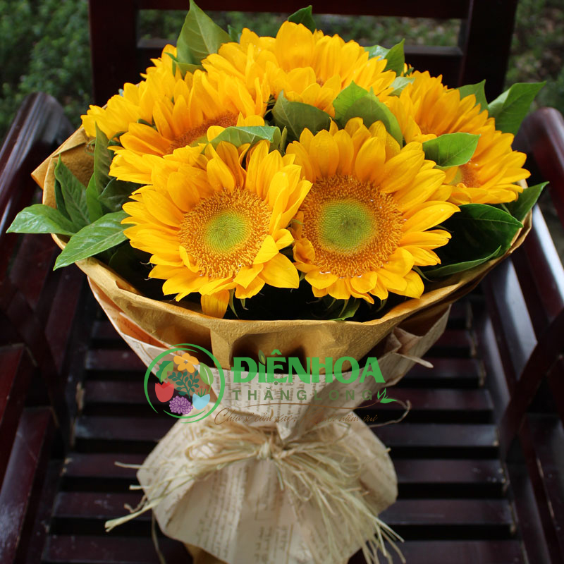 Bó hoa hướng dương tặng cô giáo