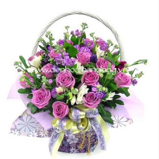 Hoa hồng tím Hà Nội