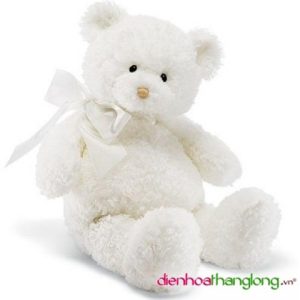 GB001-DHTL (Gấu Bông)