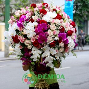 Vững chãi